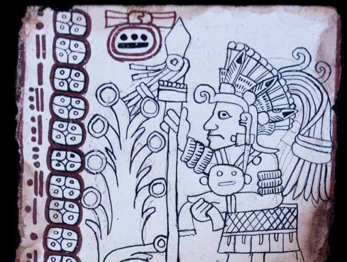 Ancient Maya manuscript