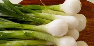 spring onions