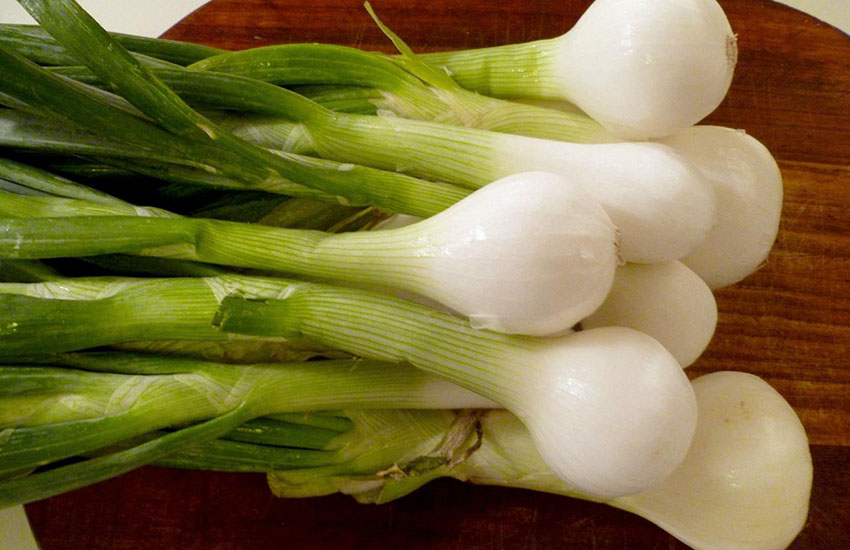 Spring onions young, gifted and green