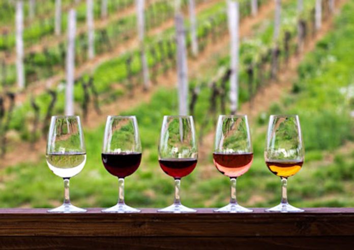 Wine glasses near vineyard in background