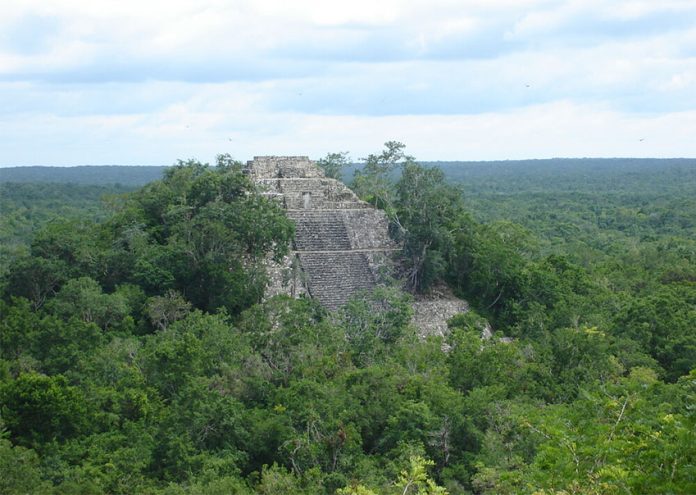 The great pyramid of Calakmul.