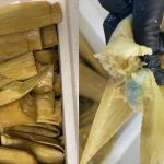 United States customs officers found fentanyl hidden in an unusual way this week at the Mexico-U.S. border.