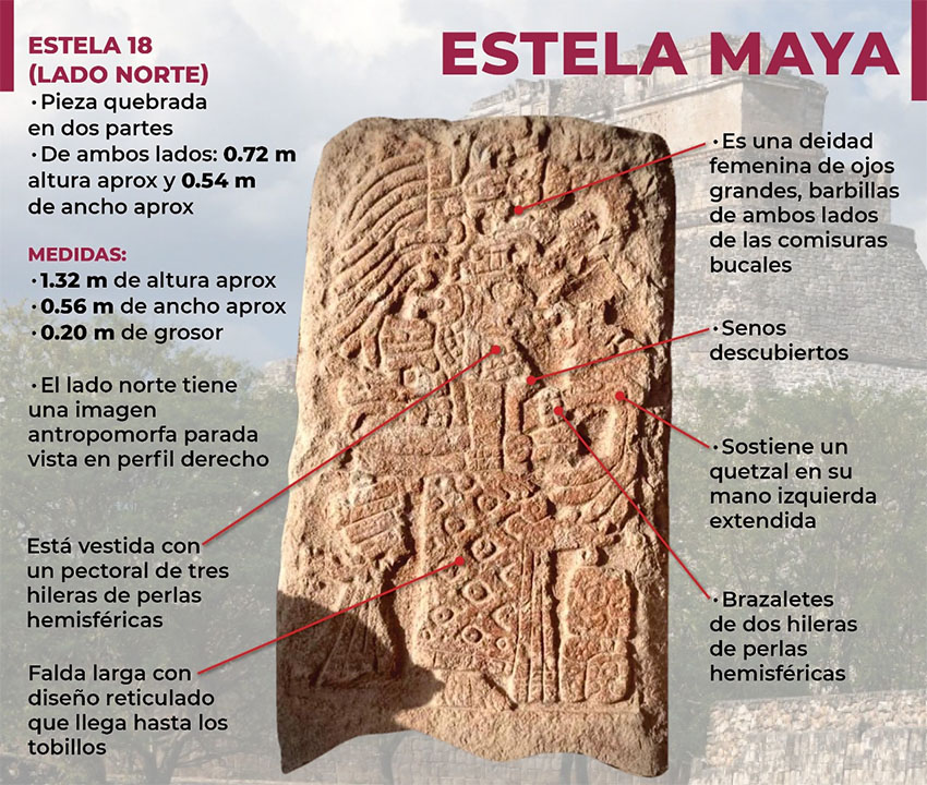 An INAH graphic highlighting features found on the north-facing side of the stela.