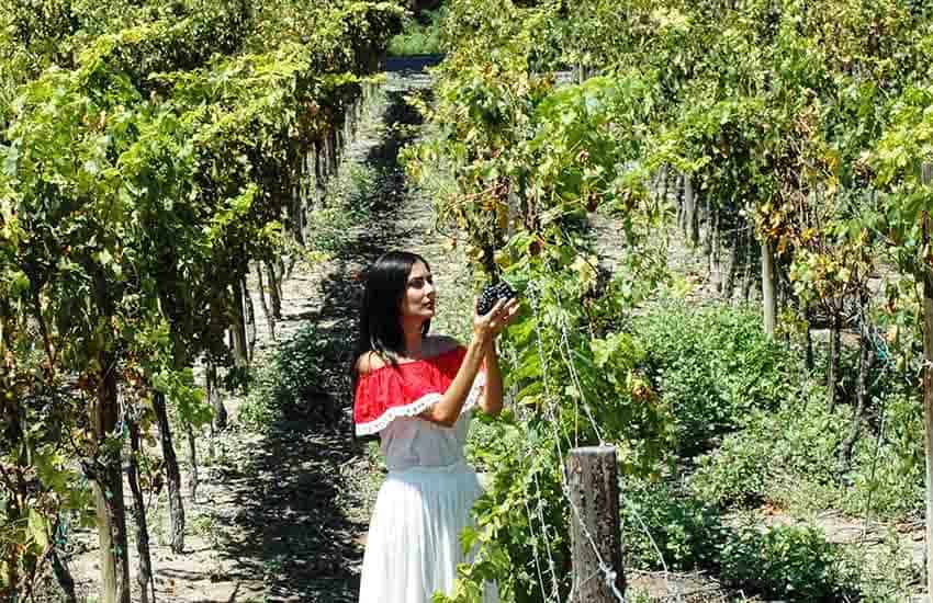 Casa Madero winery, Parras, Coahuila