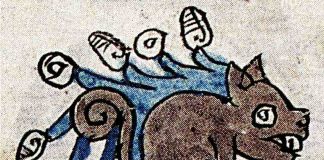 pre-Hispanic depiction of a possum