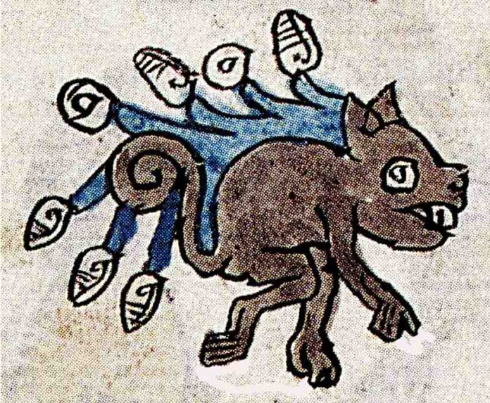 pre-Hispanic depiction of a possum