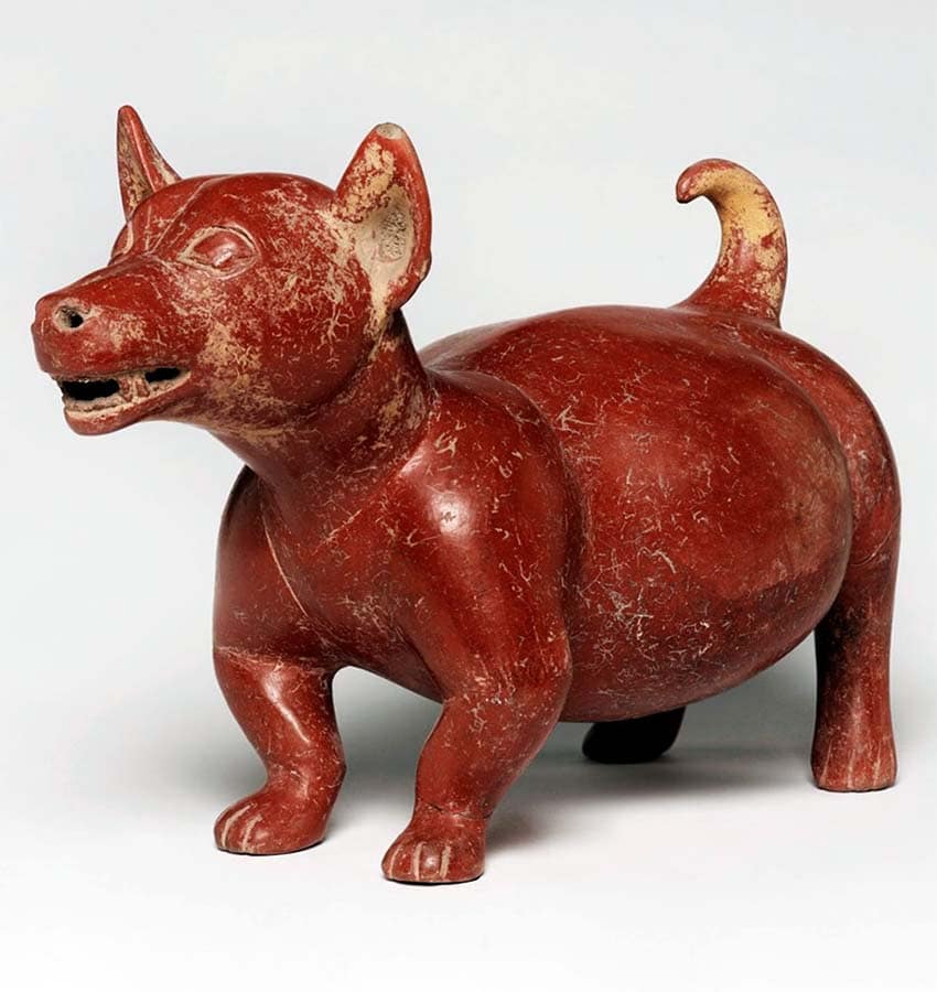 xoloitzcuintle statue