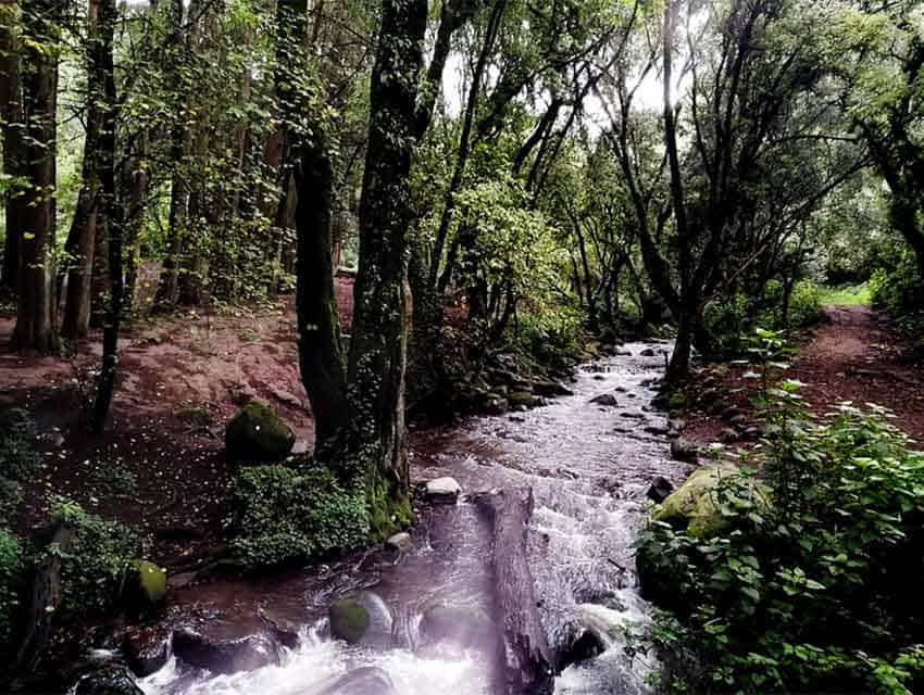 Aztec Explorers hiking group in Mexico City