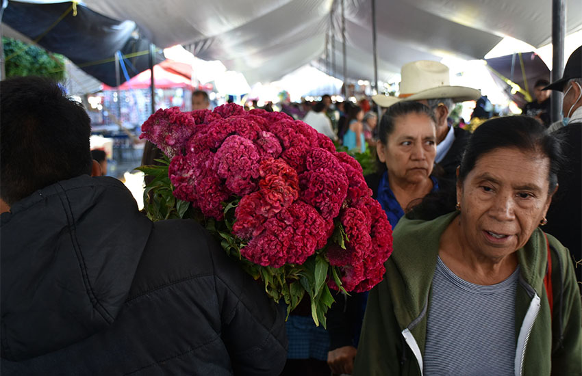 Day of the Dead swap meet in Huaquechula, Mexico