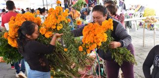 Day of the Dead swap meet in Huaquechula, Mexico
