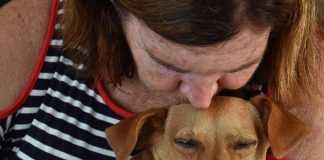 Coco Turtle Rescue sanctuary