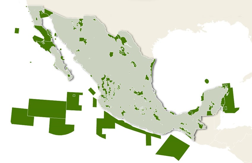 A map of the natural protected areas (ANPs) of Mexico.