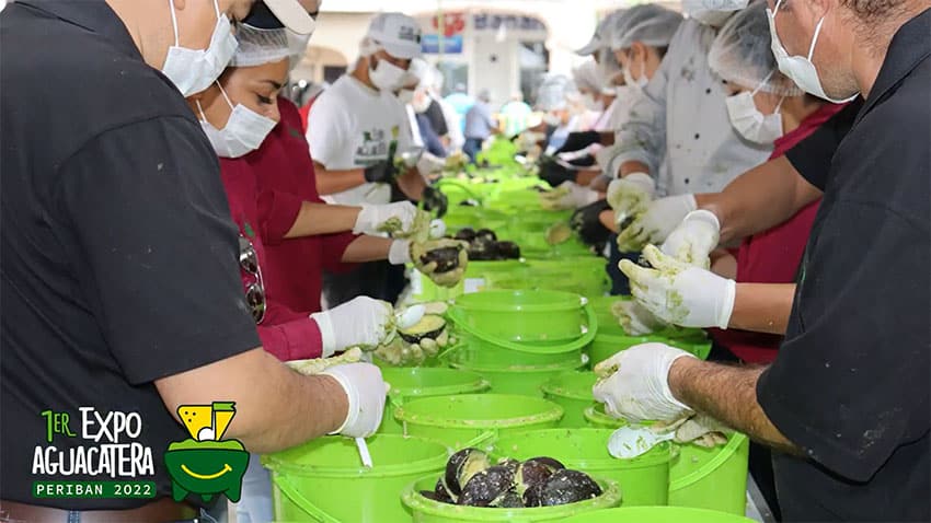Long lines of participants skinned and de-seeded 10 tonnes of avocados to make the guacamole.