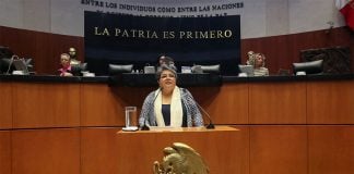 Economy Minister Raquel Buenrostro appeared before the Senate on Tuesday.