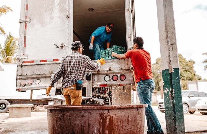 workers loading truck in Mexico