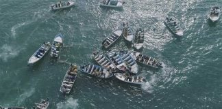 Illegal fishers cast their nets in vaquita habitat, in the Gulf of California.