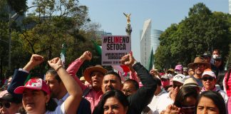 Citizens marched in protest against the proposed electoral reforms in Mexico City and dozens of other cities around the country.