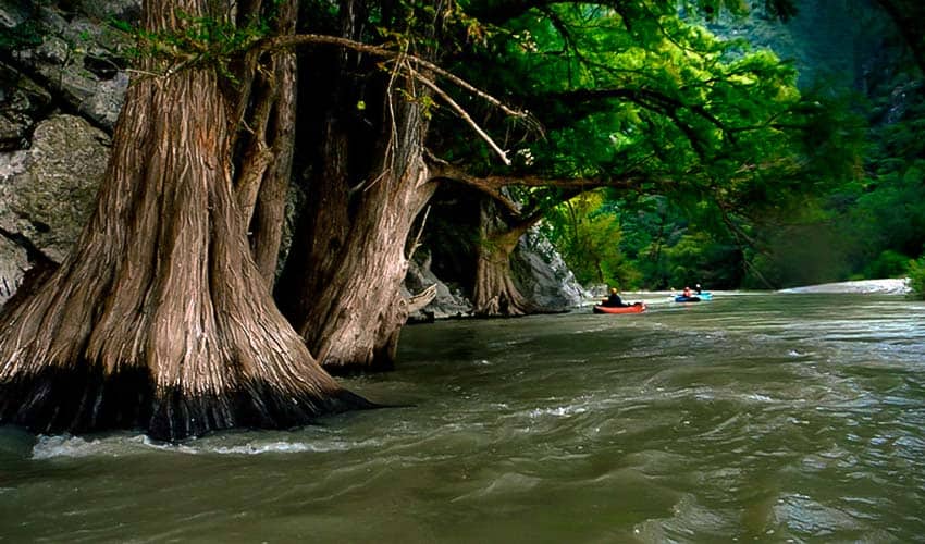 Sierra Rios organization kayaking on the Usumacinta River in Mexico