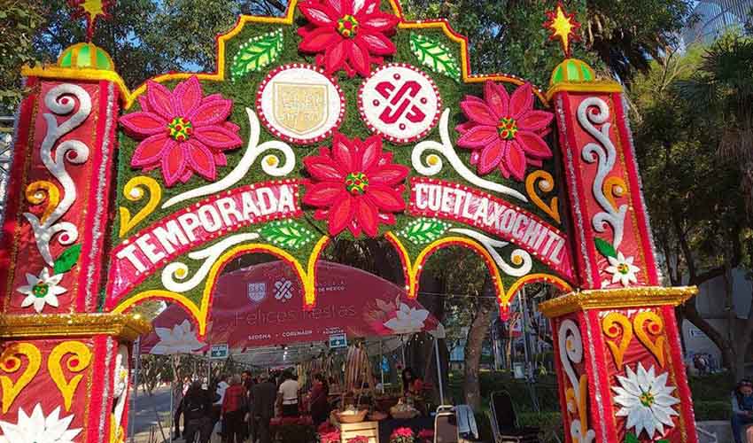 Poinsettia Fair in Mexico City in December 2022