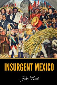 Insurgent Mexico cover