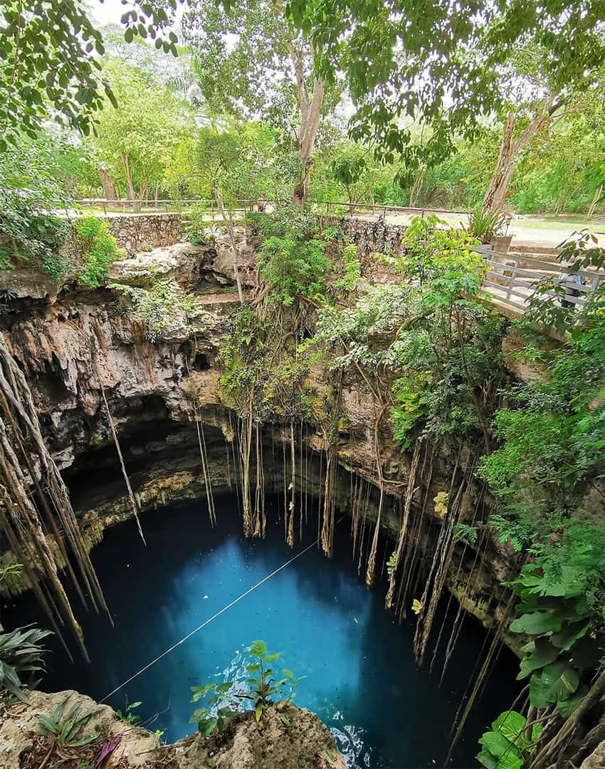 The view down into a cenote, with water in the hole below and jungle growing above the rim.