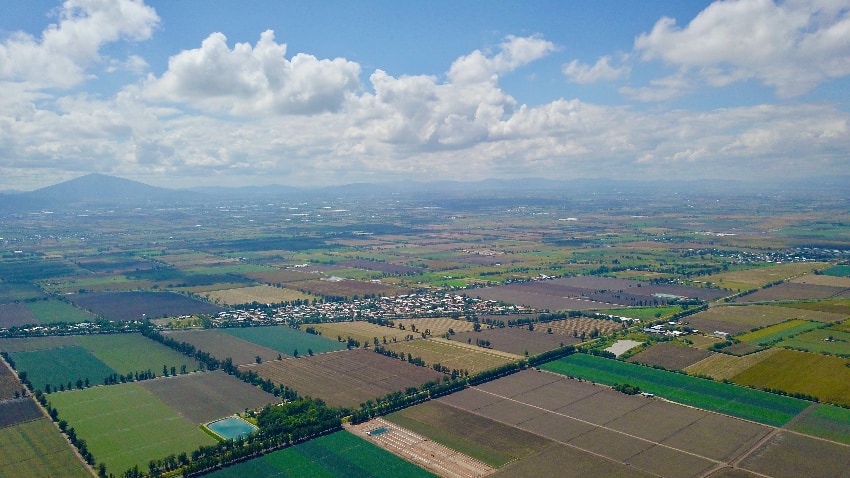 Farmland in GTO