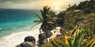 Sunset at a rock and white sand beach in Tulum, Quintana Roo, with a palm tree and other tropical plants in the foreground.