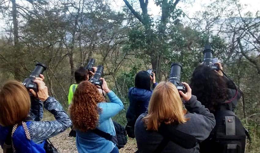 Birdwatching at Monterrey, Mexico's Chipinque Ecological Park