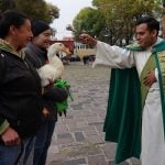 A priest blesses a duck outside a church.
