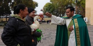A priest blesses a duck outside a church.