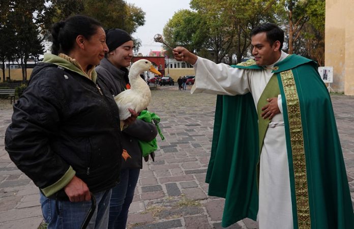 A priest blesses a duck outside a church.
