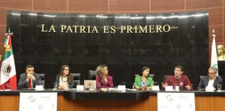 Forum in Mexican senate on medical use of natural hallucinogens