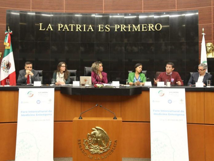Forum in Mexican senate on medical use of natural hallucinogens
