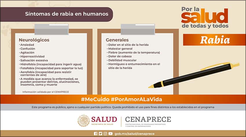 Mexico's Health Ministry graphic on rabies