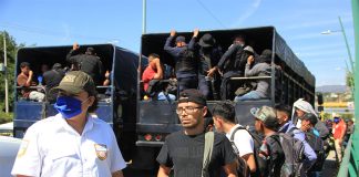 Dozens of people, mostly young men, stand in line behind an immigration official in a white shirt and cap. In the background, two large official trucks are completely full of both migrants and uniformed officials.