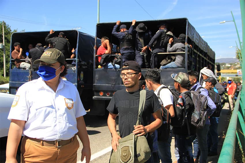 Dozens of people, mostly young men, stand in line behind an immigration official in a white shirt and cap. In the background, two large official trucks are completely full of both migrants and uniformed officials.