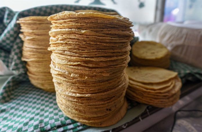Several stacks of golden tortillas on a white-and-green checkered cloth.