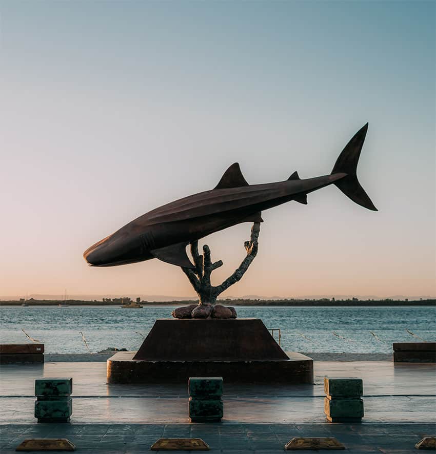 A whale shark statue with the sea in the background at sunset.