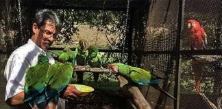 Txori Ornithological Foundation and macaw sanctuary