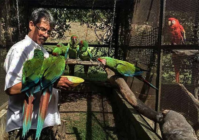 Txori Ornithological Foundation and macaw sanctuary