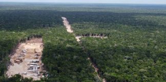 Site for prpoposed Tulum Airport in Felipe Carillo Puerto, Quintana Roo