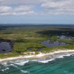 Natural protected area Cozumel
