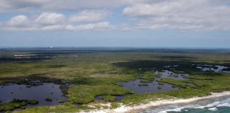 Natural protected area Cozumel