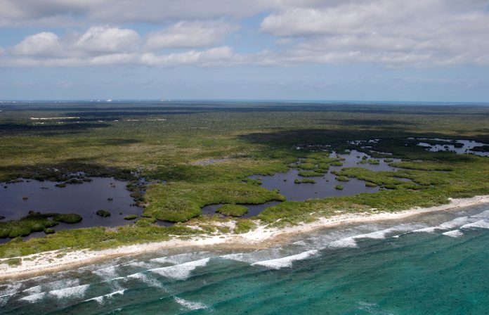 Natural protected area Cozumel