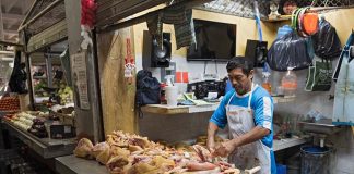 Chicken butcher in Campeche, Mexico, market