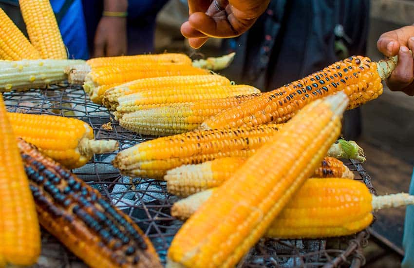 Corn on grill in Mexico