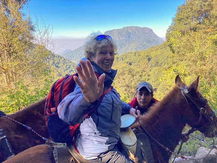 guided horseback ride to butterfly colonies in Cerro Pelon sanctuary