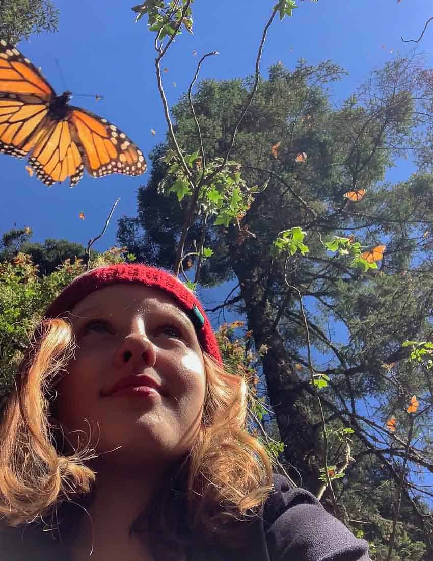 At Cerro Pelon butterfly sanctuary in Mexico state