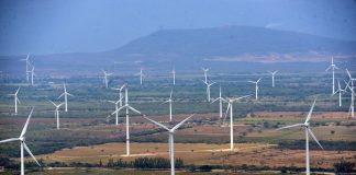 Wind farm in Oaxaca