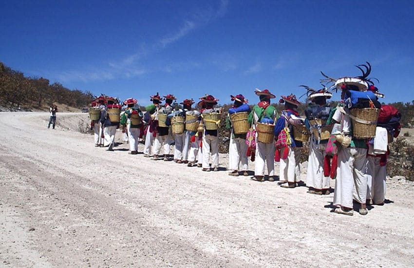 Wixarika peyote collectors on the pilgrimage to the sacred Wirikuta site